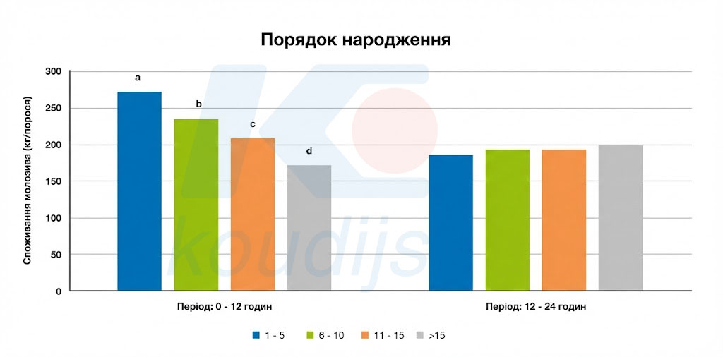 Розподіл споживання молозива протягом перших 24 годин